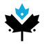 Maple-Hosting